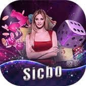 Wider 5z777 mobile app journey connecting sports, slots, and account pages